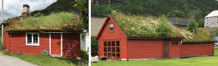 Green roofs in Norway